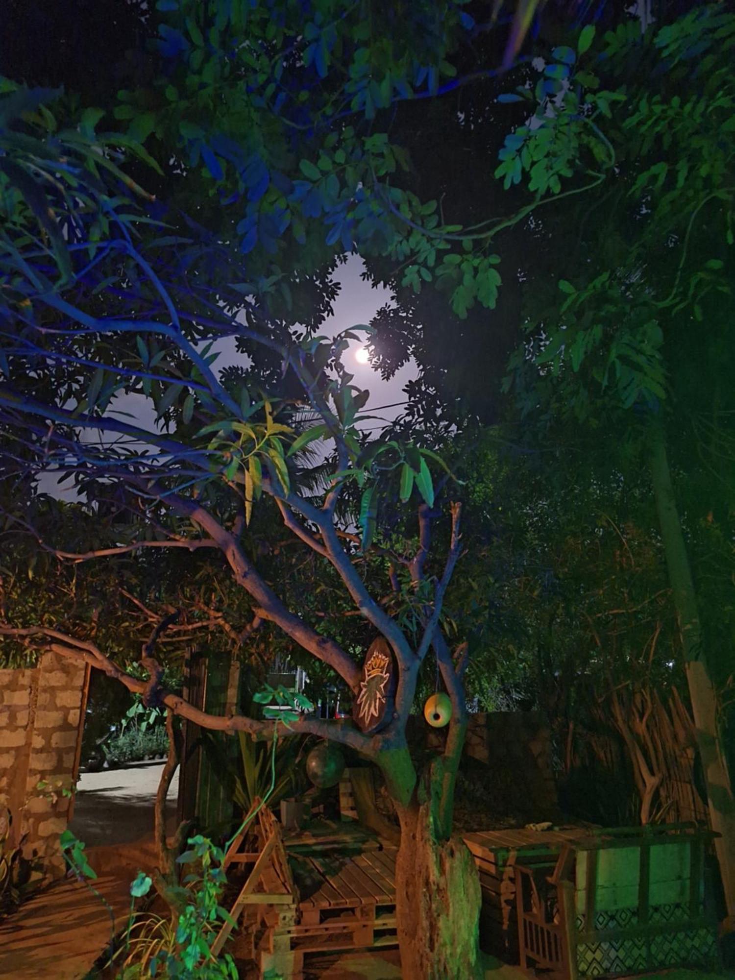 Akki'S Hostel Trincomalee Eksteriør billede