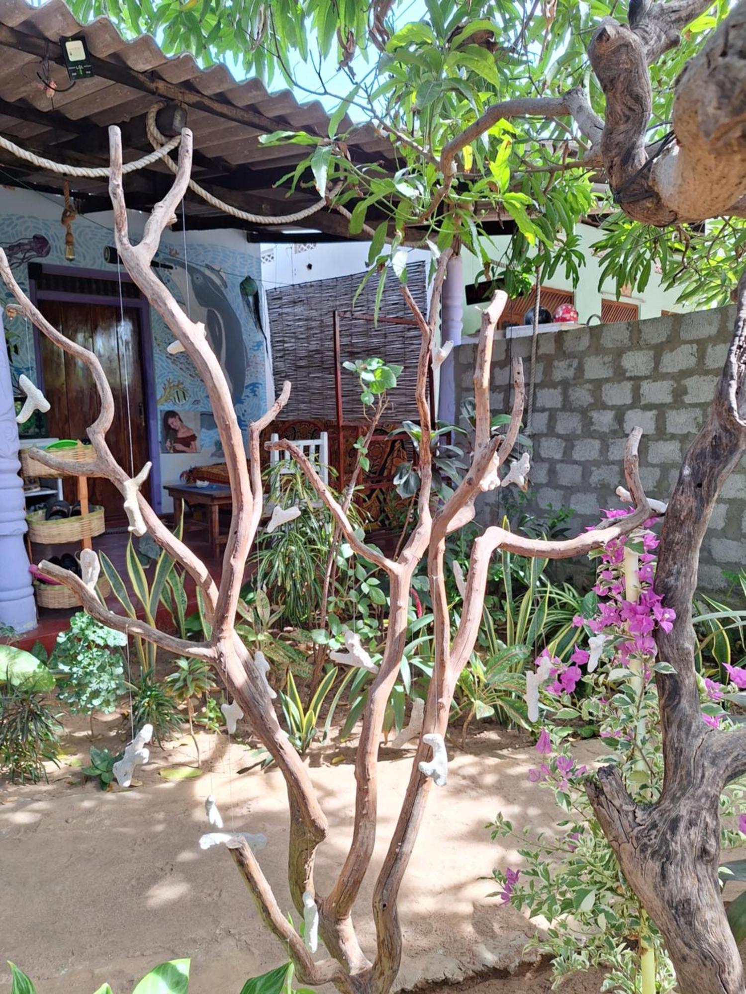 Akki'S Hostel Trincomalee Eksteriør billede